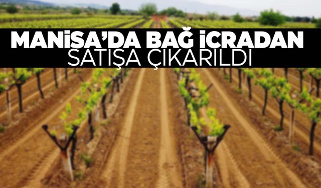 Manisa’da bağ icradan satılık