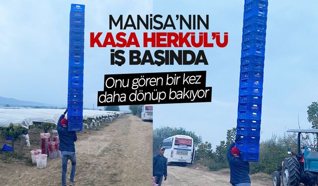 Manisa'da Kasa Herkül'ü iş başında