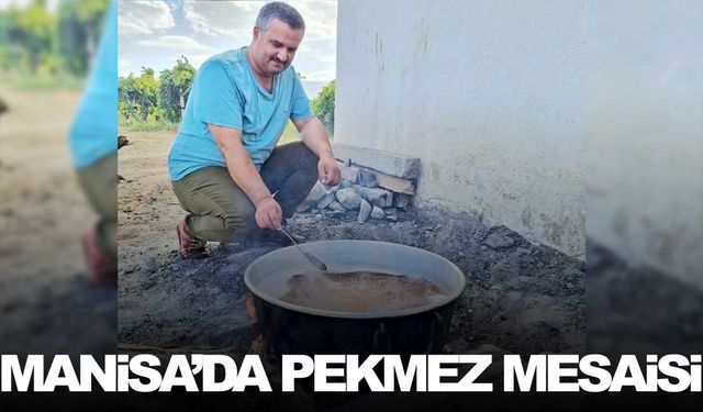 Manisa’da pekmez mesaisi başladı