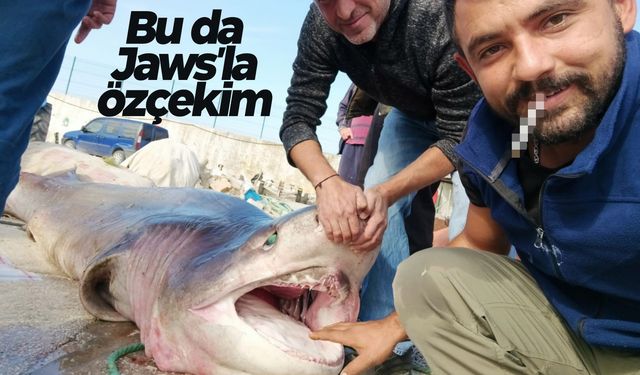 Marmara'dan canavar çıktı… Tam 1 ton çekiyor! Hemen selfie çektirdiler