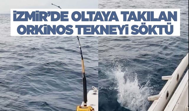 İzmir’de oltaya takılan orkinos 100 bin liralık oltayı götürdü  