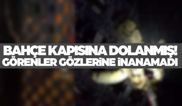 Bahçe kapısına dolanmış… Görenler panik oldu!