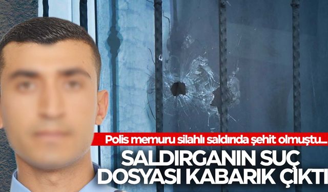 Polisi şehit eden saldırgan suç makinesi çıktı  