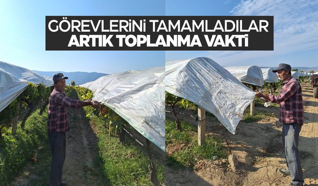 Sarıgöl Ovası'nda vakit doldu... Toplanıyorlar