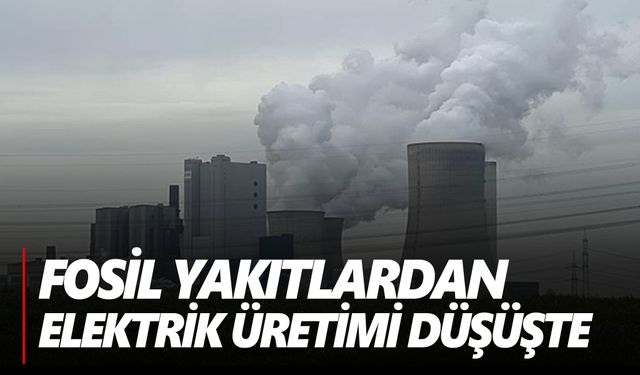 Dünya’nın yenilenebilir enerji kaynaklarına ihtiyacı var