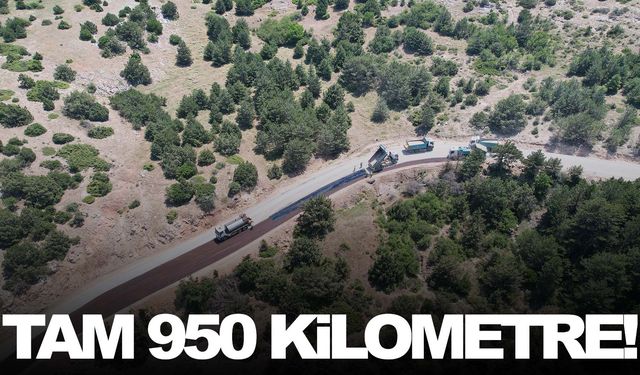 Rekor kırıldı… Tam 950 kilometre!