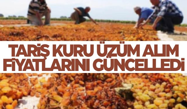 Manisalı üzüm üreticilerini ilgilendiriyor! TARİŞ, üzüm alım fiyatlarını güncelledi 