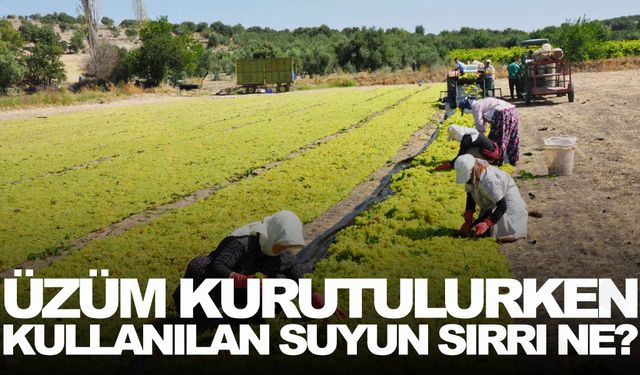 Üzüm kurutulurken kullanılan suyun sırrı ne?