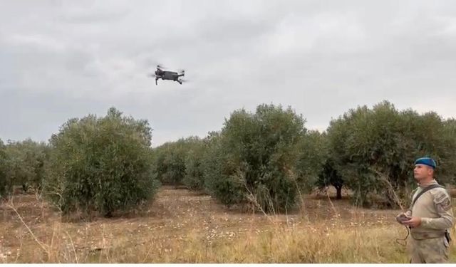 Manisa'da zeytin ve üzüm hırsızları kaçacak yer arıyor