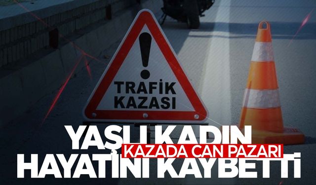 Otomobilin çarptığı yaşlı kadın hayatını kaybetti  