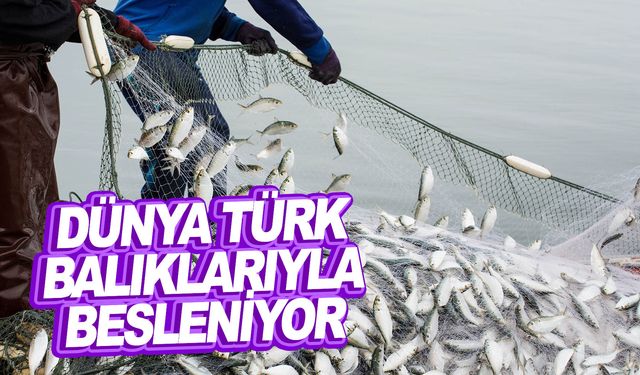 10 aylık su ürünleri ihracatı 1 milyar 404 milyon dolar