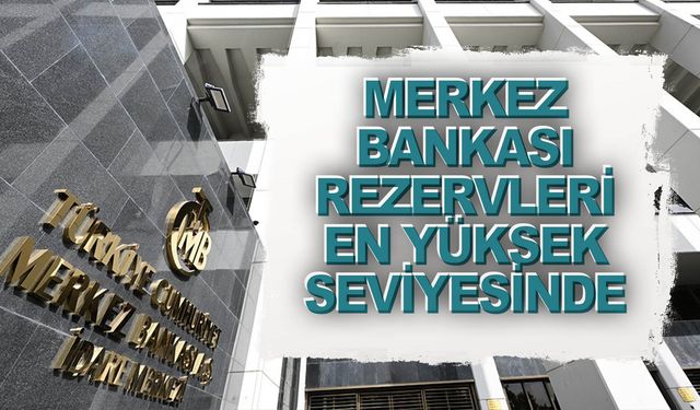 128,6 milyar dolarla en yüksek seviyeye çıktı