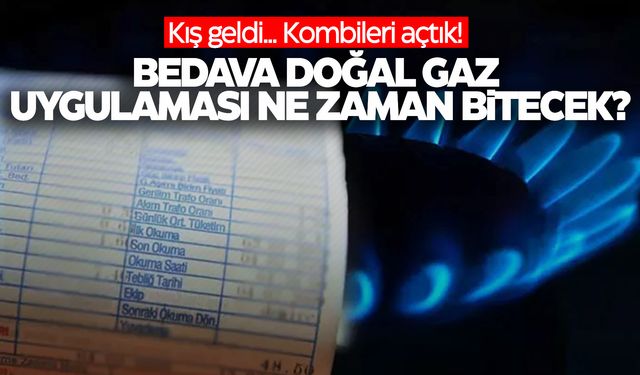 Herkes bunu merak ediyor… Doğal gaz ne zamana kadar ücretsiz?