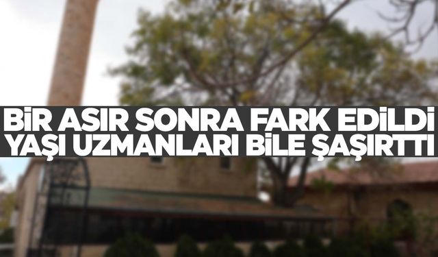 Tam bir asır sonra fark edildi… Türkiye’de başka örneği yok!