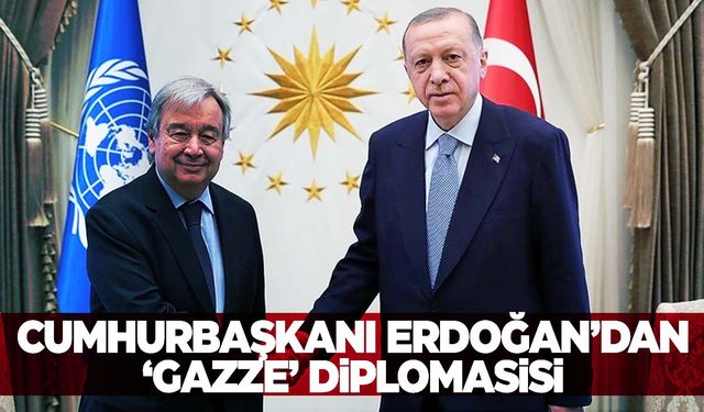 Cumhurbaşkanı Erdoğan, BM Genel Sekreteri Guterres ile görüştü  