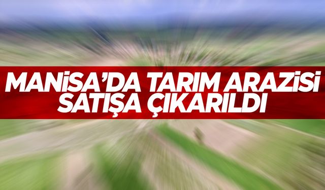 Değeri 1 milyona yakın… Tarım arazisi satışa çıkarıldı