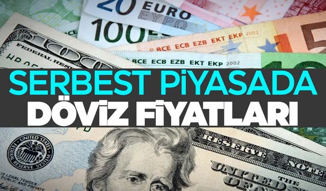 Dolar ve euro ne kadar oldu? İşte 21 Kasım 2023 döviz fiyatları