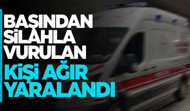 Ege’de silah sesleri… Bir kişi başından vurulmuş halde bulundu