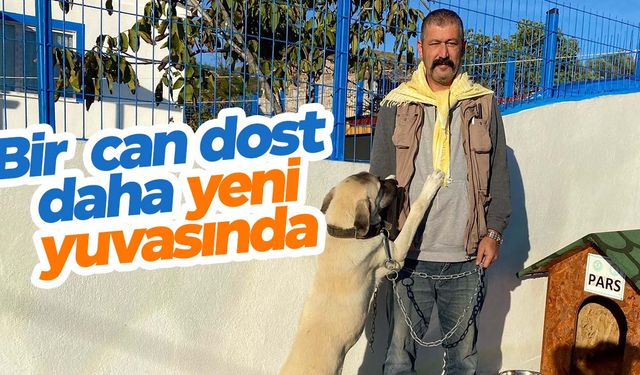 Eğitimini tamamlayan bir köpek daha sahiplendirildi  