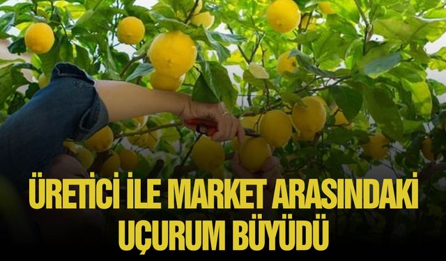 En fazla fiyat farkı yüzde 683 ile limonda görüldü