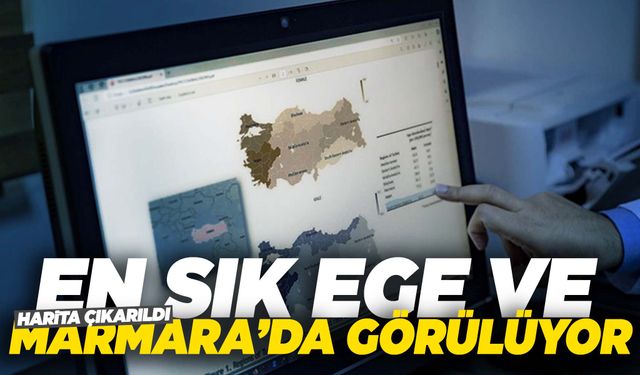 Harita çıkarıldı… En sık Ege ve Marmara’da görülüyor!