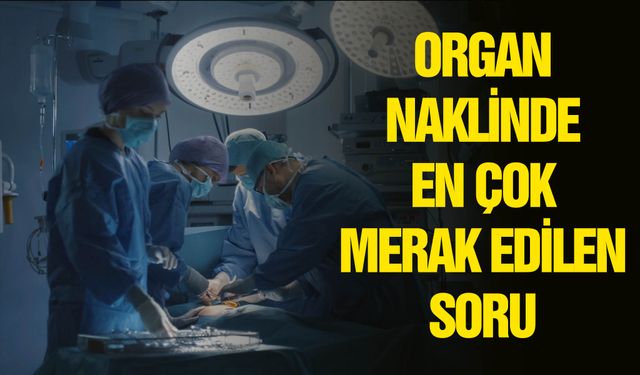 En sık karaciğer ve böbrek nakilleri yapılıyor