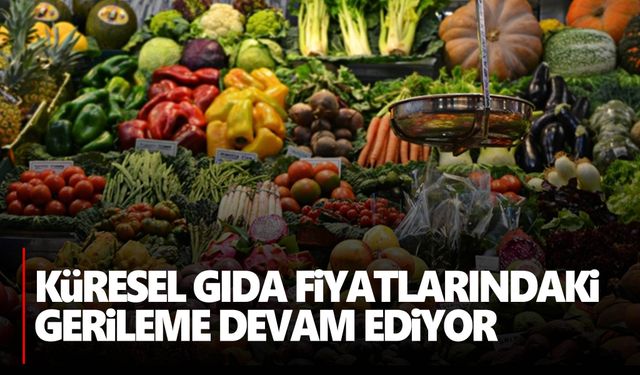 FAO Gıda Fiyat Endeksi yüzde 0,58 düşüş gösterdi