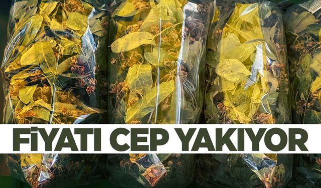 Doğal şifa deposunun fiyatı cep yakıyor… Kilosu 800 lirayı buldu!