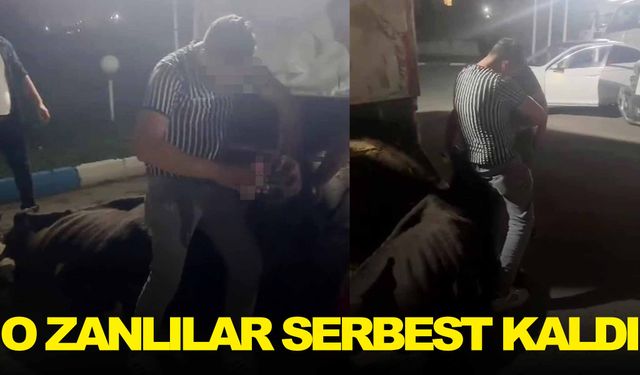 İneğe alkol içirip video çekmişlerdi!