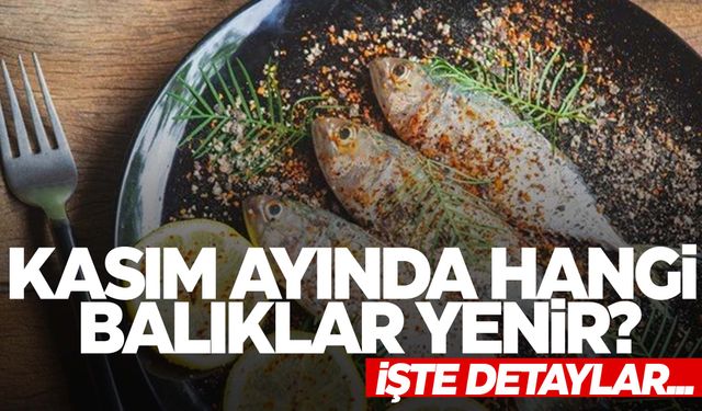 Kasım ayında hangi balıklar yenir? İşte Kasım ayında lezzetli olan balıklar…