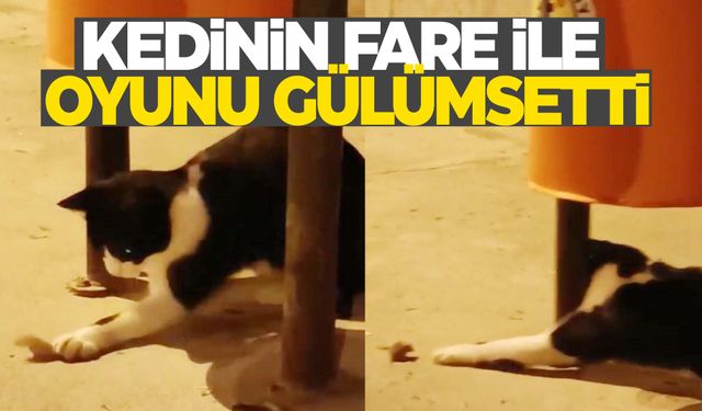 Kedinin fare ile oyunu gülümsetti