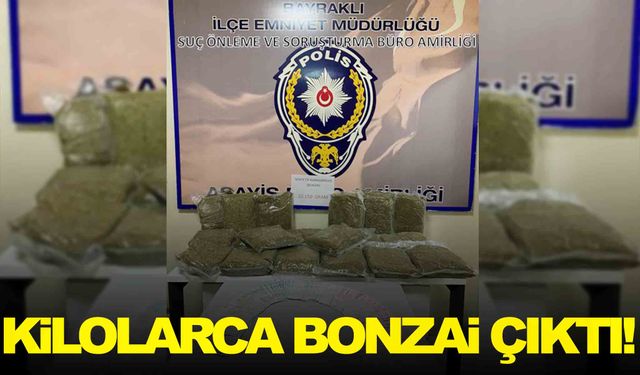 İzmir'de operasyon… Bir evden kilolarca bonzai çıktı!