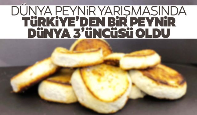 Türkiye'den bir peynir ilk defa Dünya Peynir Yarışması'nda üçüncü oldu!