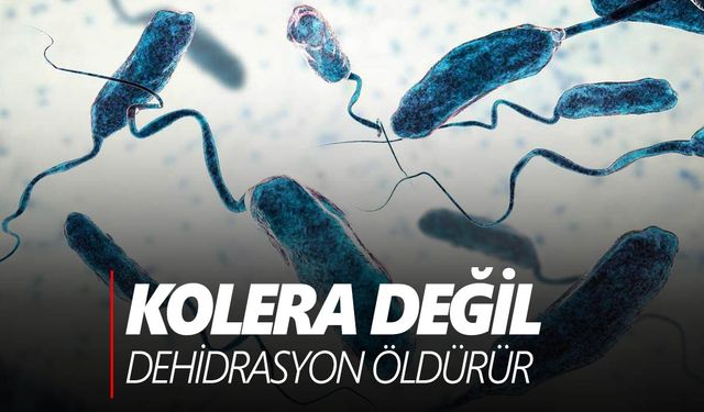 Kolerada erken tedavi ile ölüm oranı yüzde 1'in altına iniyor