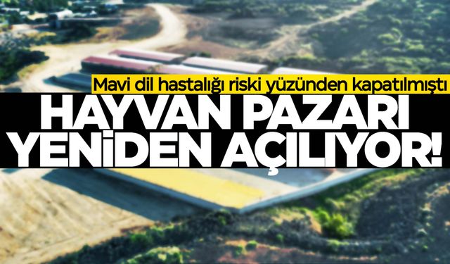 Mavi dil riski yüzünden kapatılmıştı… İlçenin hayvan pazarı yeniden açılıyor!