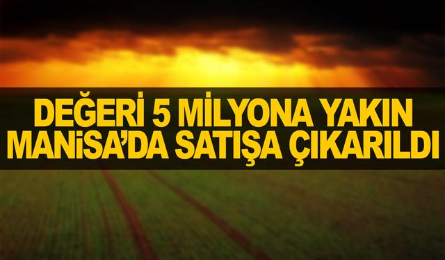 Manisa Yunusemre'de mahkemeden satılık tarım arazisi