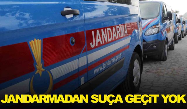 Manisa'da jandarma son bir ayda aranan 771 şahsı yakaladı