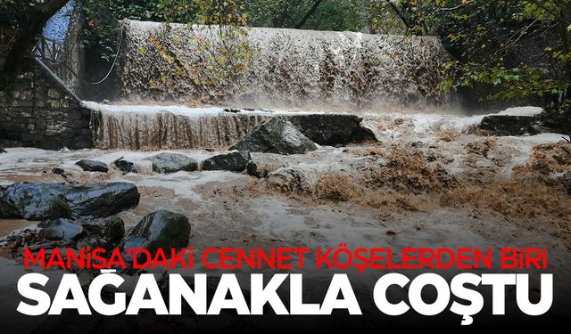 Manisa'da Kurşunlu Şelalesi sağanakla coştu