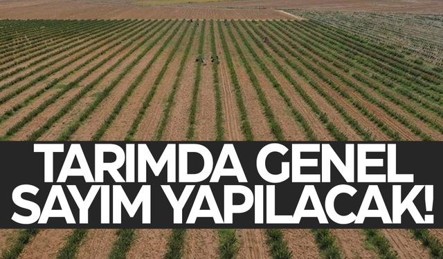 Manisa'yı yakından ilgilendiriyor... Genel sayım yapılacak! Süreç nasıl işliyor?