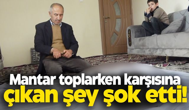 Mantar toplarken karşısına çıkan şey şok etti!