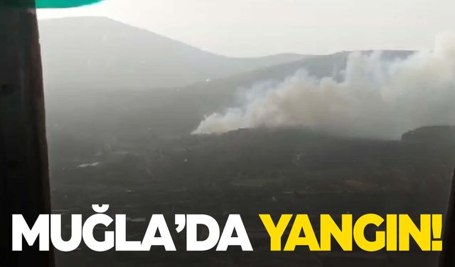 Muğla’da yerleşim yerleri yakınında orman yangını çıktı!