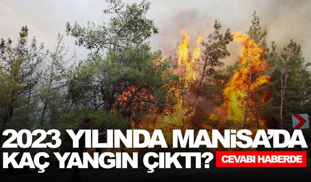 Orman yangınlarının yüzde 80'i o sebeplerden çıktı