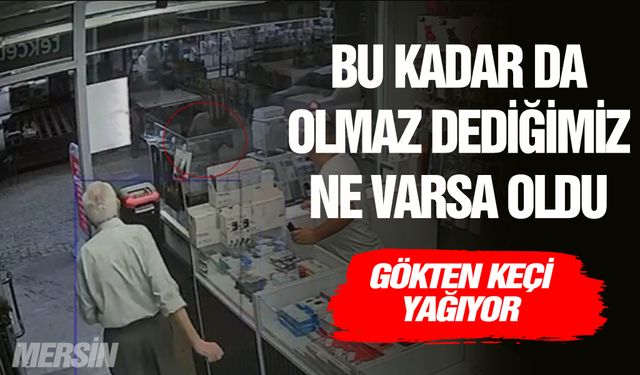 Otomobilin üzerine keçi düştü