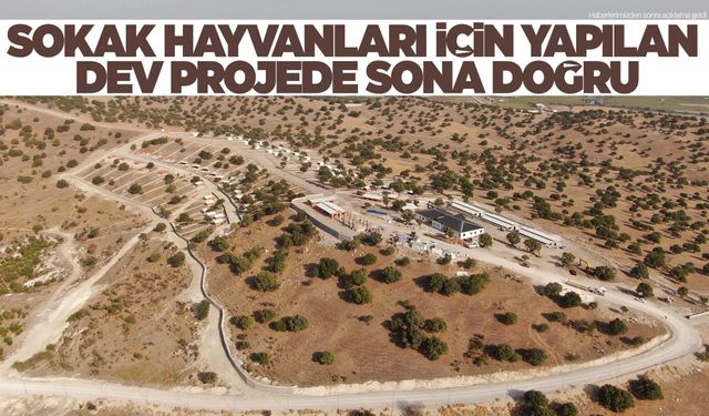 Manisa’da sokak hayvanları için yapılan dev projede sona yaklaşılıyor