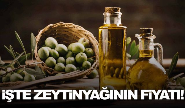 Tariş Zeytin ve Zeytinyağı Birliği, alım fiyatını açıkladı