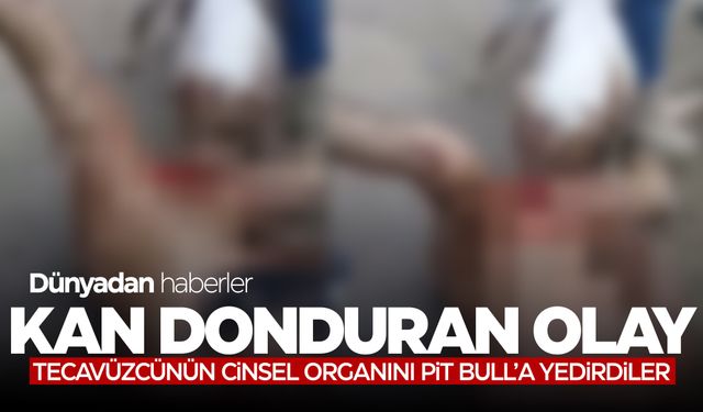 Tecavüzcünün cinsel organını pitbulla yedirip kayda aldılar