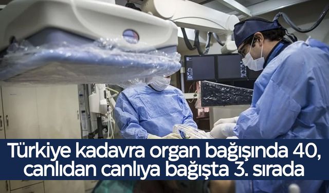 Türkiye'nin organ bağışı karnesi belli oldu