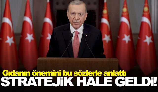 Cumhurbaşkanı Erdoğan gıda güvenliğine dikkat çekti!