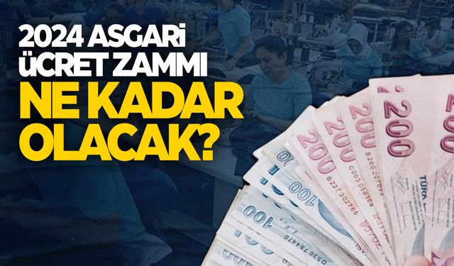 Yüzdelere göre asgari ücret! Asgari ücret ne kadar olacak?