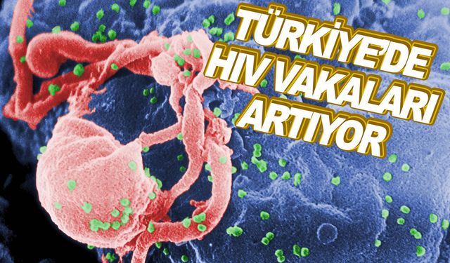 2010'dan bu yana HIV ile yaşayan birey sayısı 9 kat arttı